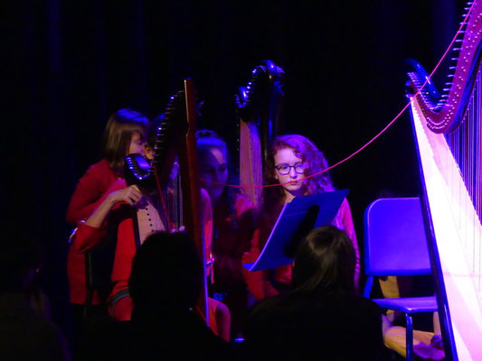 Concert Harpes au Présent à Amiens et Beauvais avec l'EMION