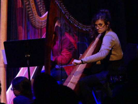 Concert Harpes au Présent à Amiens et Beauvais avec l'EMION