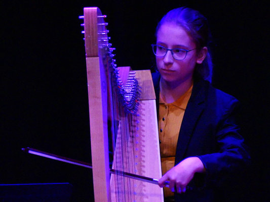 Concert Harpes au Présent à Amiens et Beauvais avec l'EMION