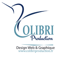 logo design web colibri production