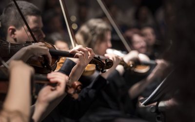 violins-1838390_640